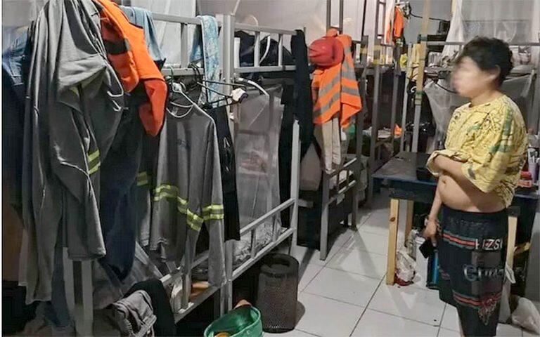 Reprodução MPT